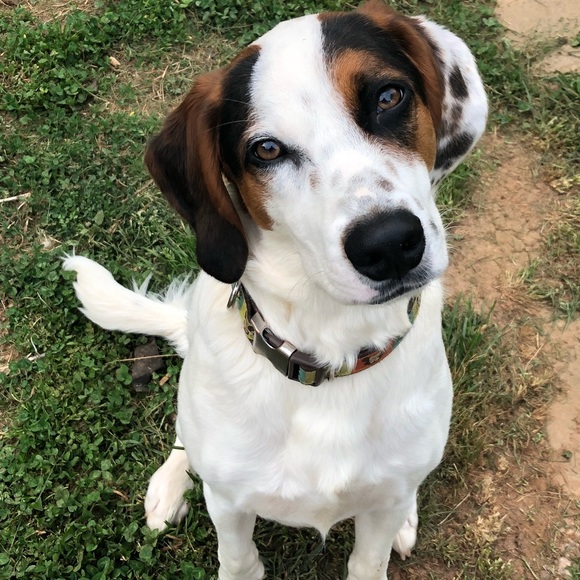 Amanda’s A Lil Bit of Everything Closet - Picture 8 of 8